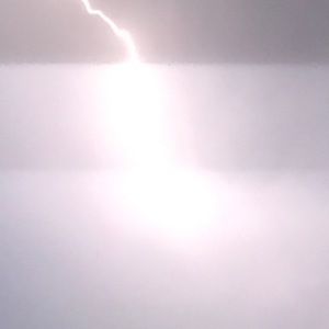 Meet your Posher, Eliana